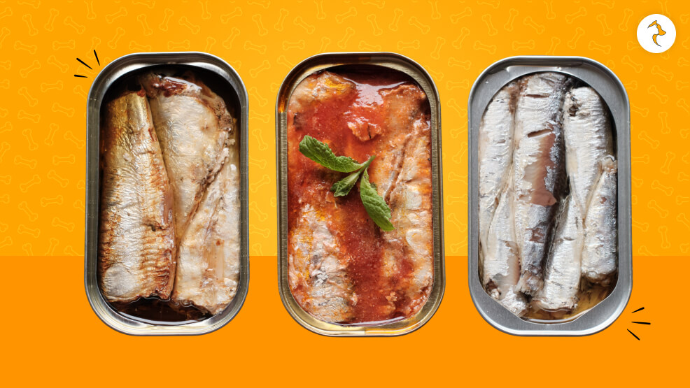 What Sardines Are Good For Dogs_