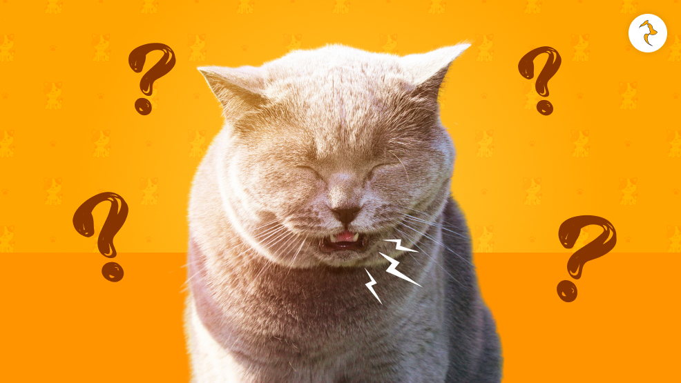 Are They Actually Sneezing_