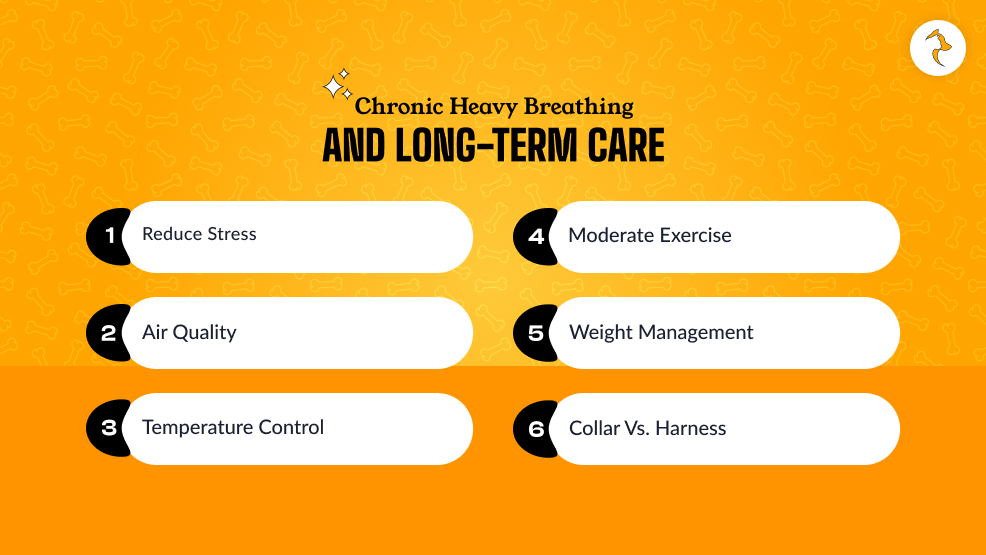 Chronic Heavy Breathing And Long-Term Care