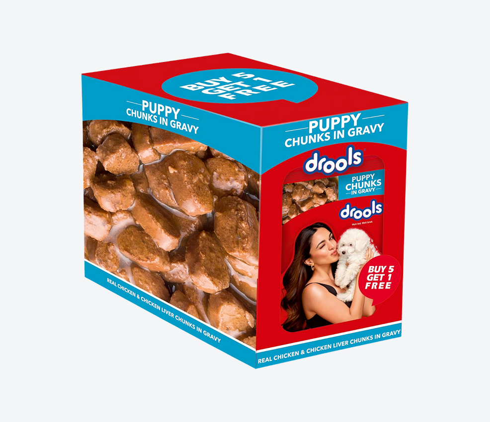 Drools Puppy Wet Dog Food 