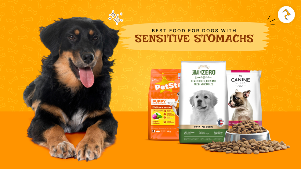 best food for dogs with sensitive stomachs