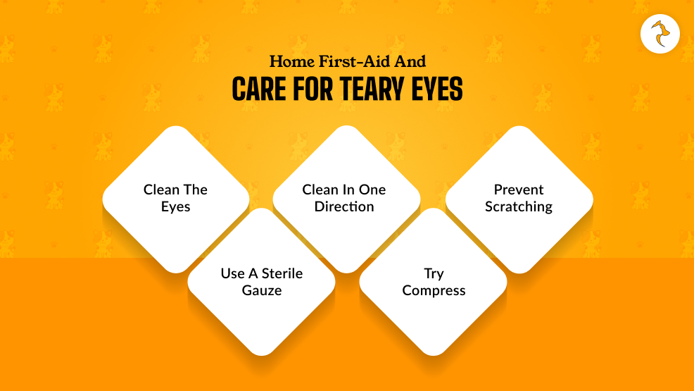 Home First-Aid And Care For Teary Eyes