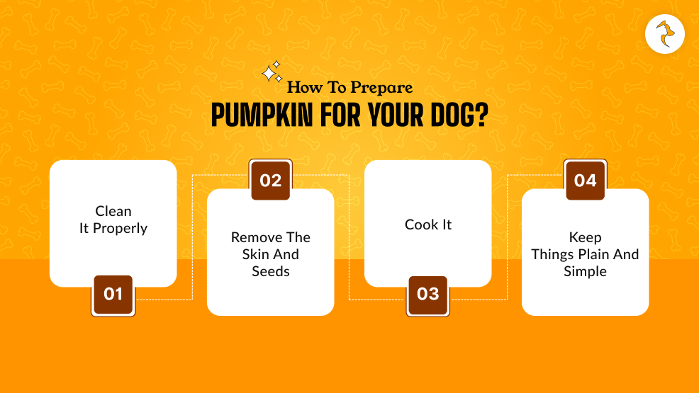 How To Prepare Pumpkin For Your Dog_