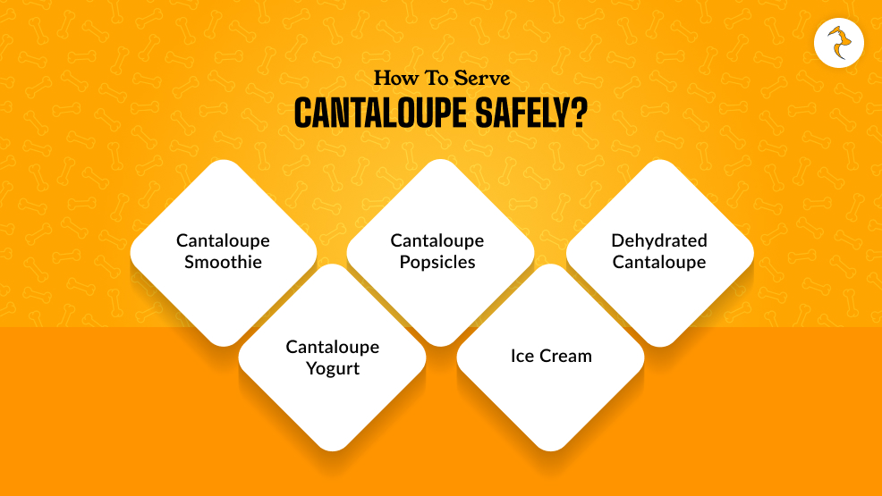 How To Serve Cantaloupe Safely_