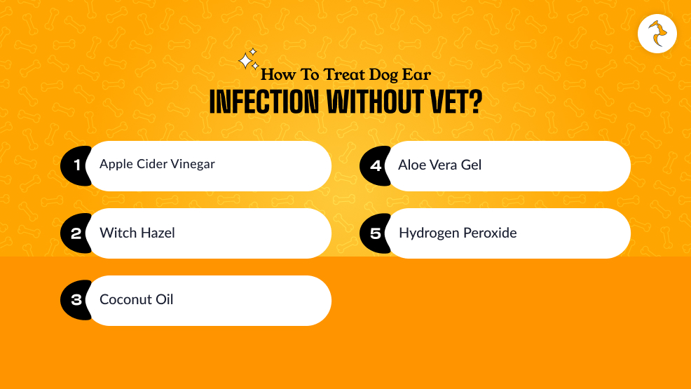 How To Treat Dog Ear Infection Without Vet_