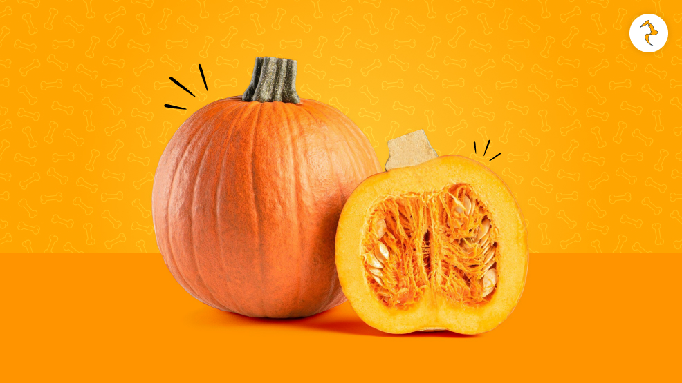How To Use Pumpkin For Specific Problems_