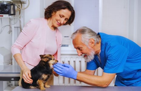 Pets for Rehabilitation