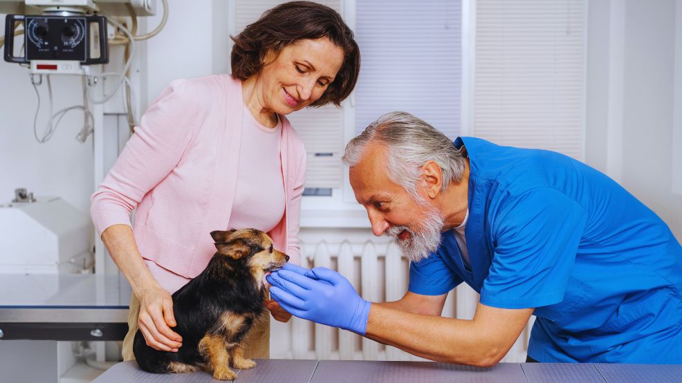 Pets for Rehabilitation