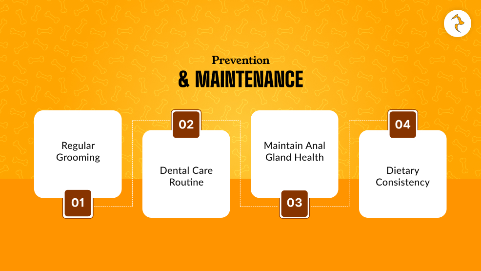 Prevention & Maintenance