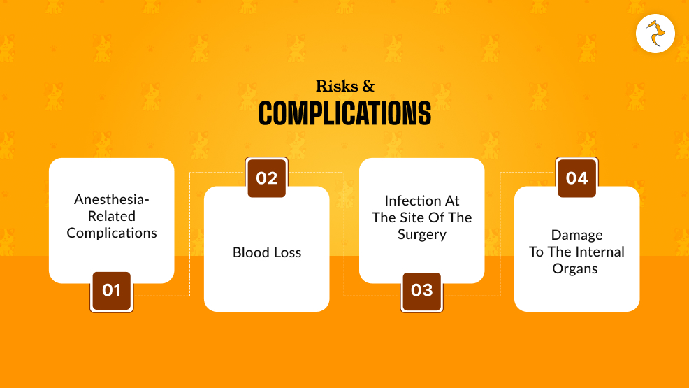 Risks & Complications