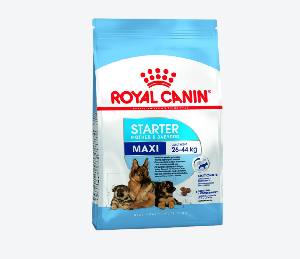 Royal Canin Maxi Starter, Mother & Baby Dog Food