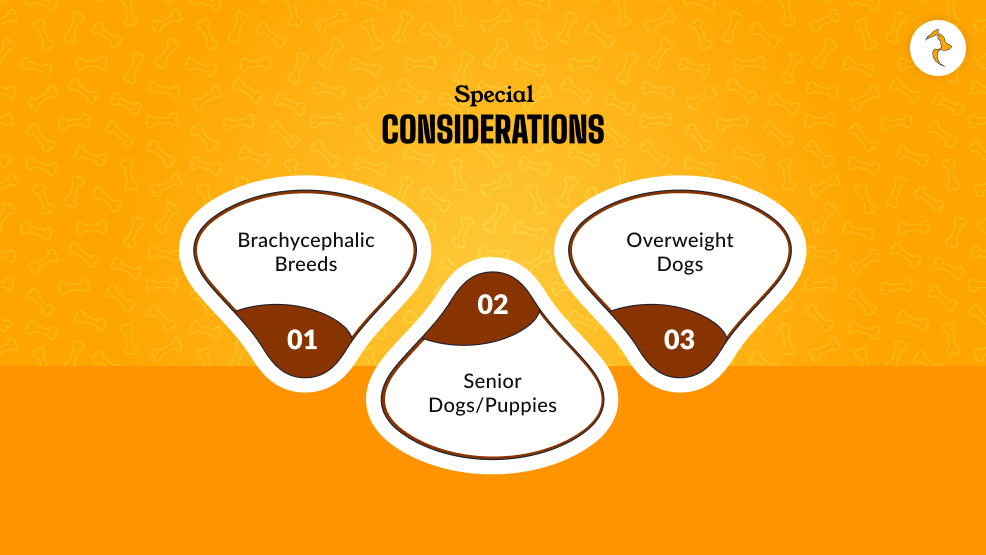 Special Considerations