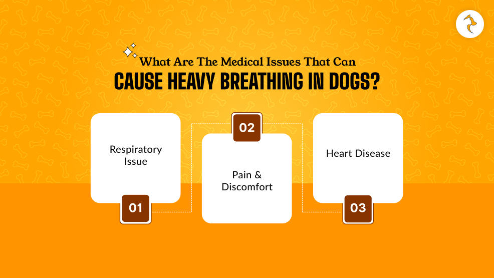 What Are The Medical Issues That Can Cause Heavy Breathing In Dogs_