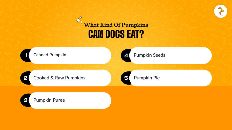 What Kind Of Pumpkins Can Dogs Eat_