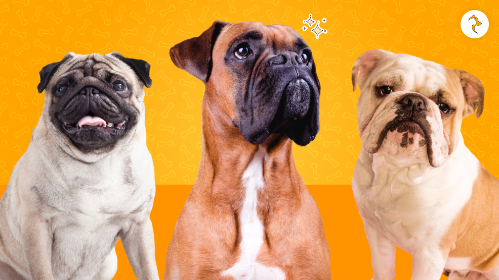 Who Gets Hiccups Most Often_