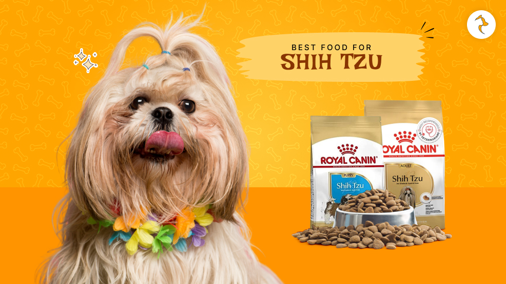 best food for Shih Tzu