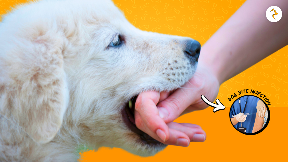 dog bite injection