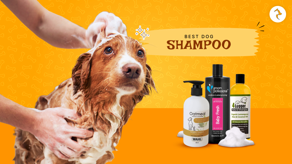 dog shampoo