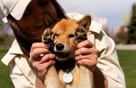 pet hazards in Florida