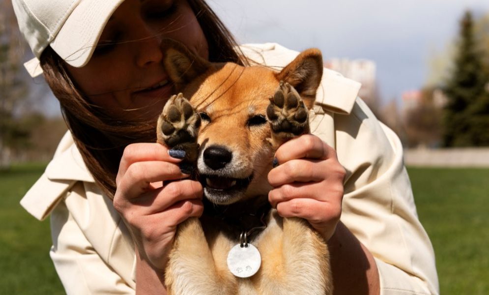 pet hazards in Florida