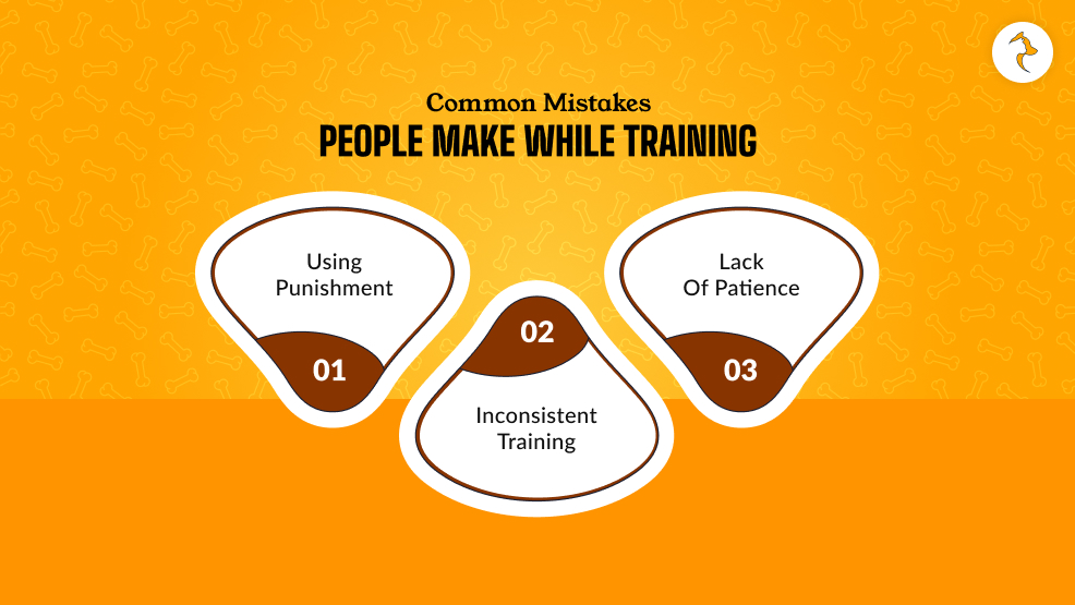 Common Mistakes People Make While Training