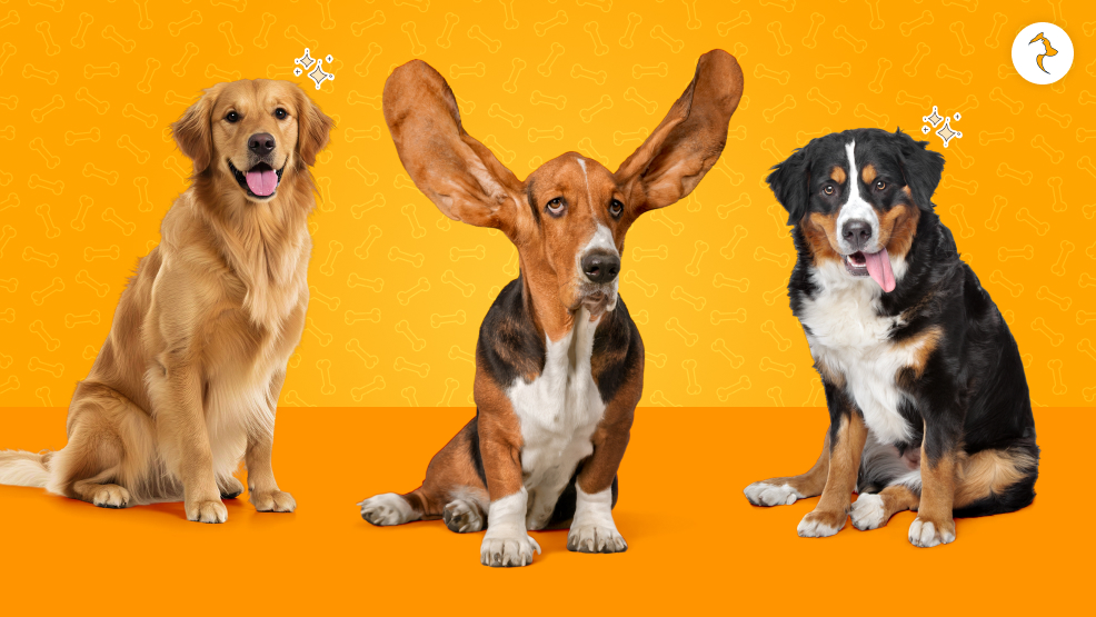 Families With Infants And Toddlers