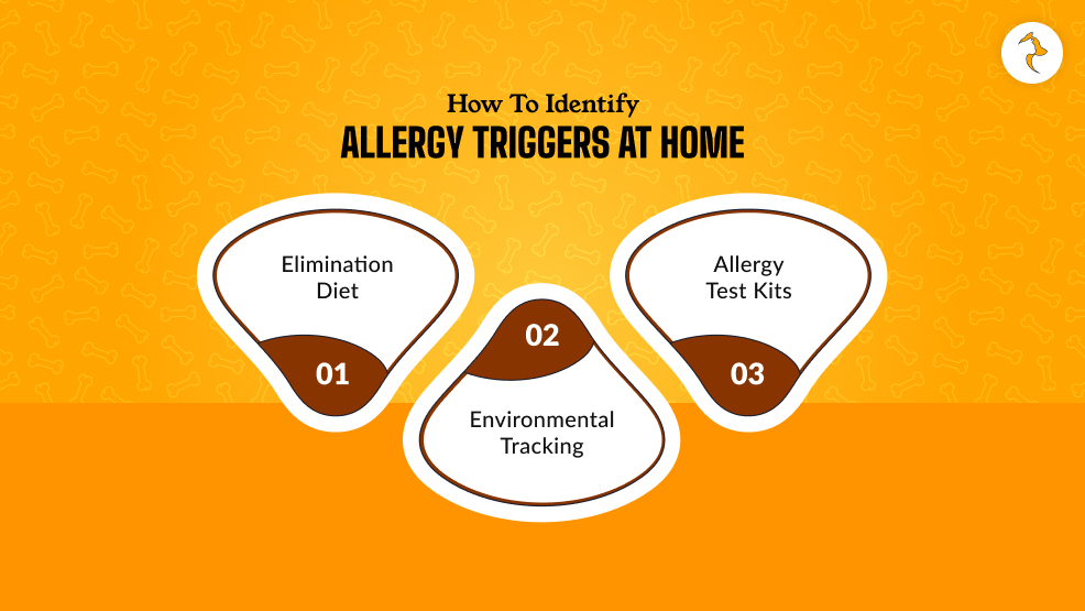 How To Identify Allergy Triggers At Home