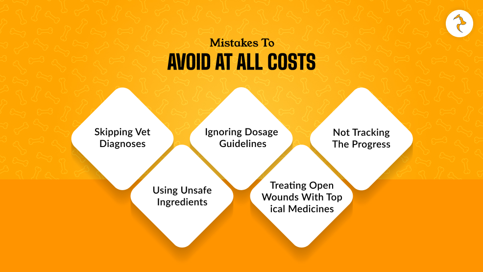 Mistakes To Avoid At All Costs