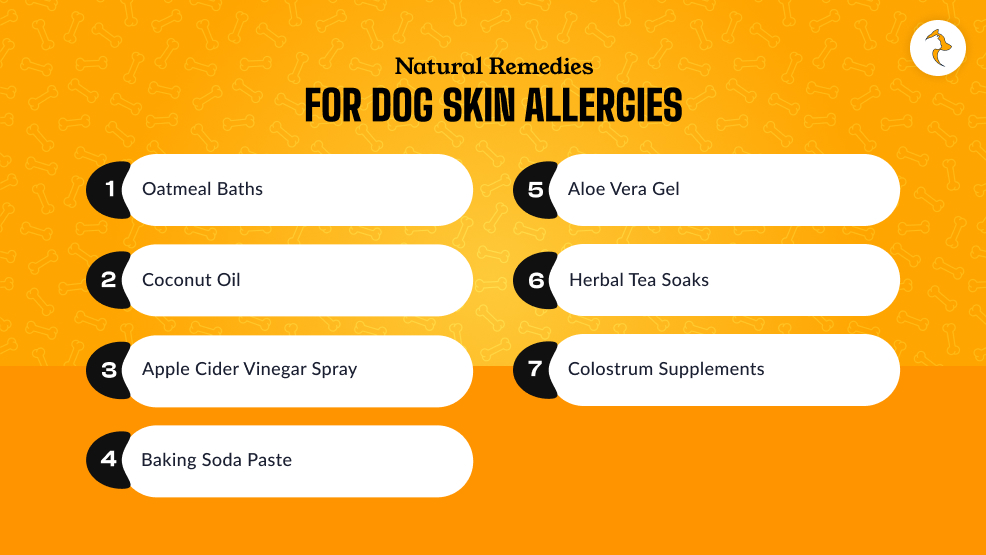 Natural Remedies For Dog Skin Allergies