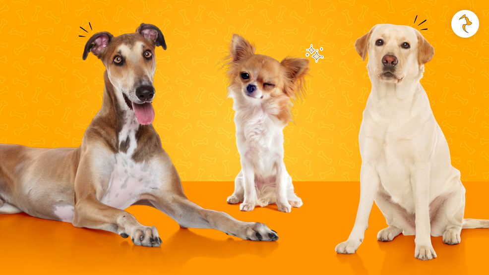 Regional Suitability