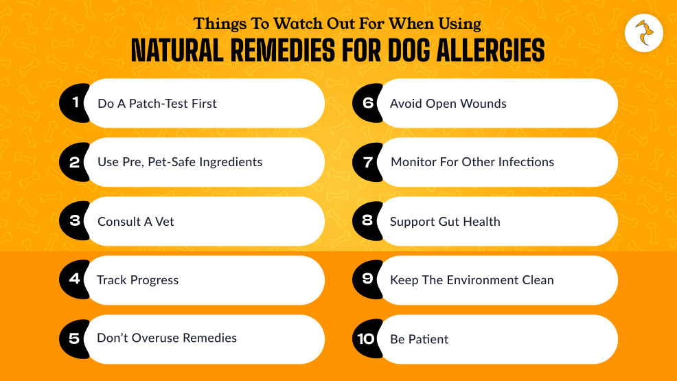 Things To Watch Out For When Using Natural Remedies For Dog Allergies