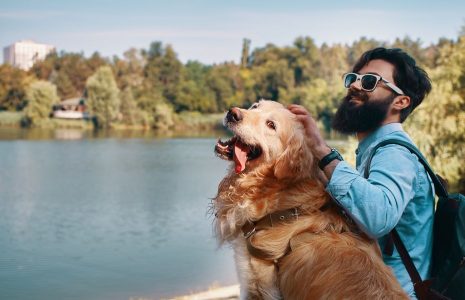 Tips for travelling with pets