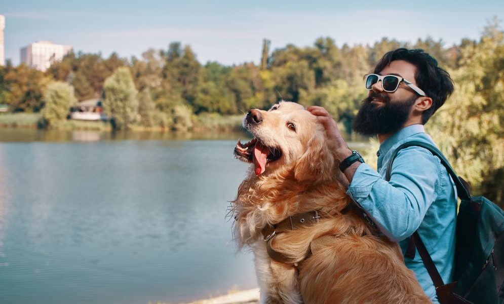 Tips for travelling with pets