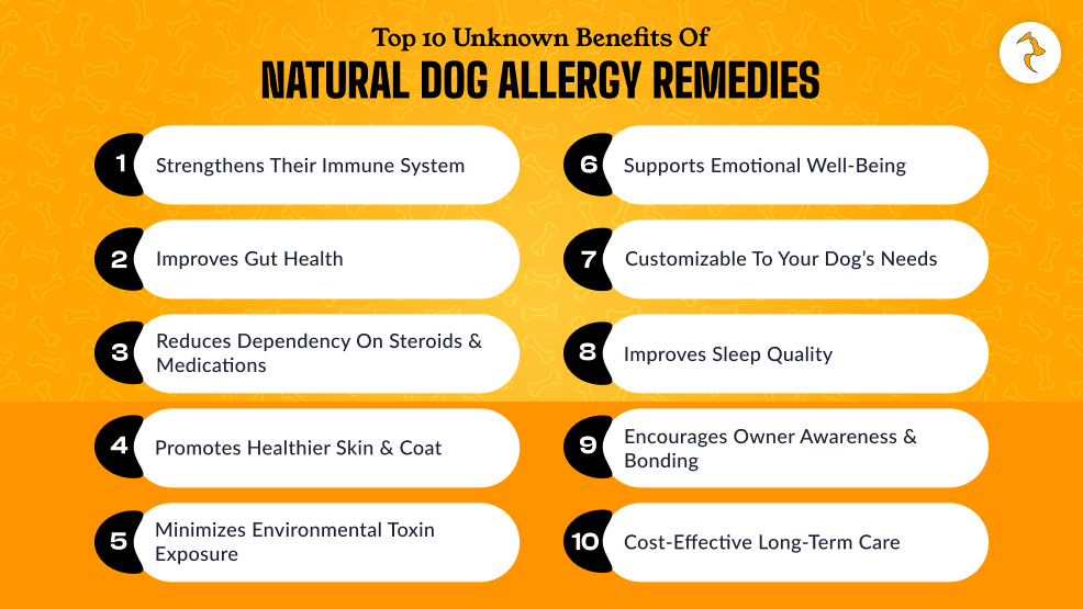 Top 10 Unknown Benefits Of Natural Dog Allergy Remedies