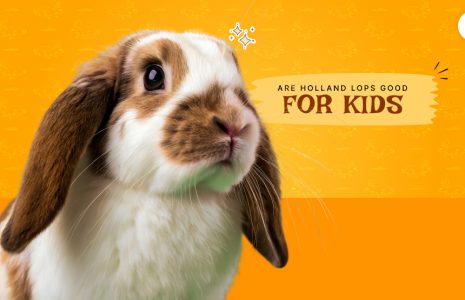 Are Holland Lops good for kids