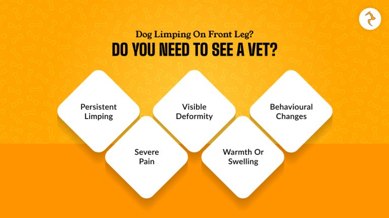 Image showcasing Dog Limping Front Leg: Causes, Treatments, Prevention Tips