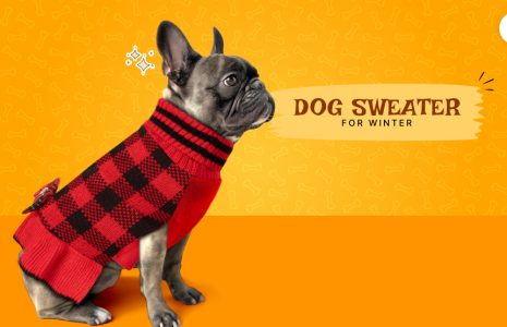 Dog Sweater For Winter 