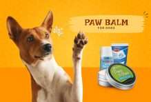 Paw Balm for Dogs