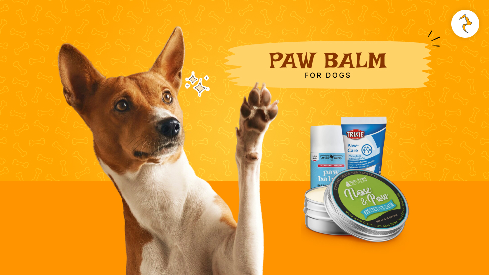 Paw Balm for Dogs