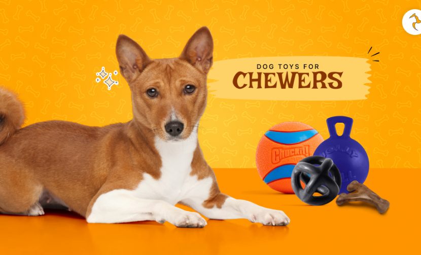 dog toys for chewers