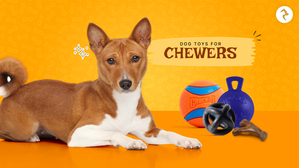 dog toys for chewers