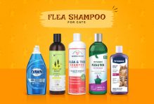 flea shampoo for cats