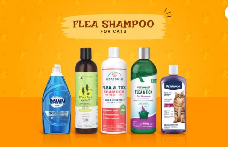flea shampoo for cats