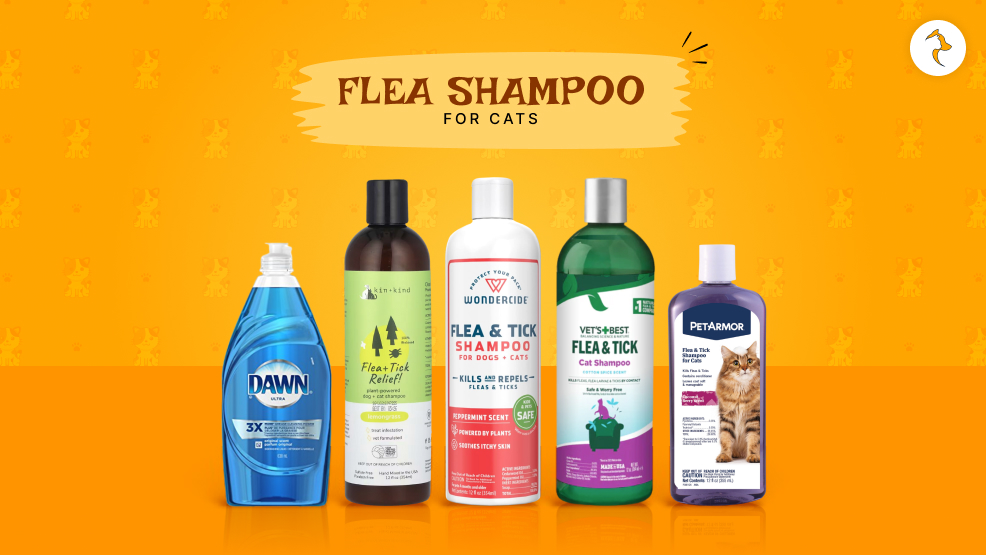 flea shampoo for cats
