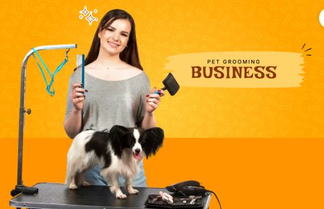 pet grooming business