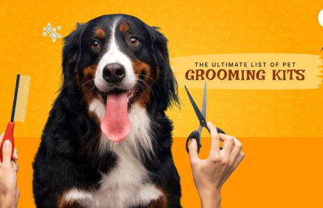 pet grooming kit