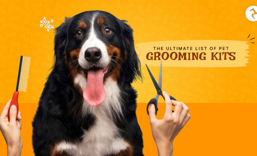 pet grooming kit