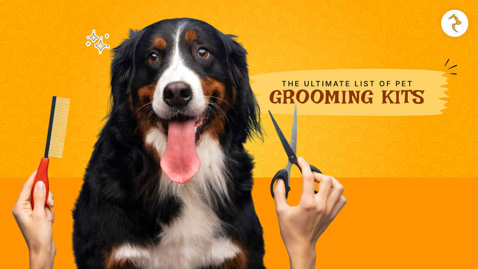 pet grooming kit