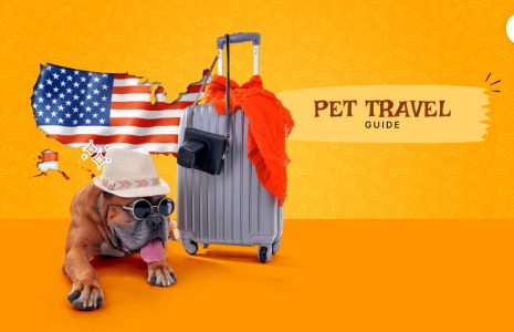 pet travel guide