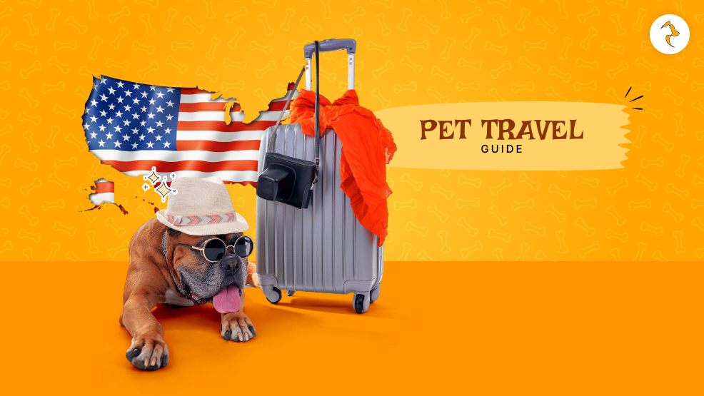 pet travel guide
